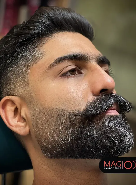 ته ریش با سبیل