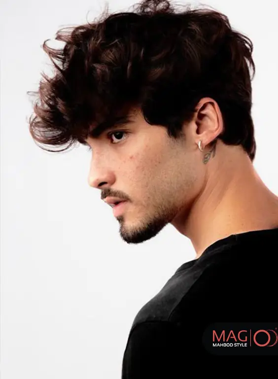 ته ریش با سبیل